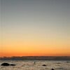 sydney_chalmers